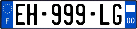EH-999-LG