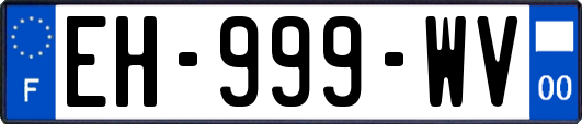 EH-999-WV