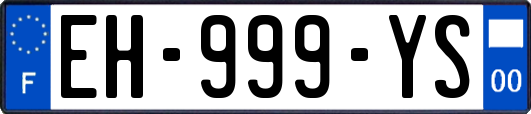 EH-999-YS