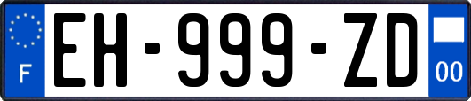 EH-999-ZD