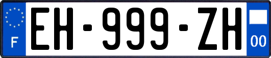 EH-999-ZH