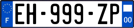 EH-999-ZP