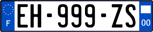EH-999-ZS
