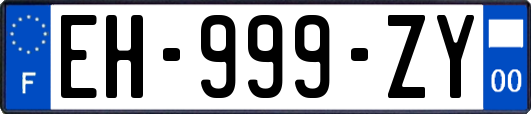 EH-999-ZY