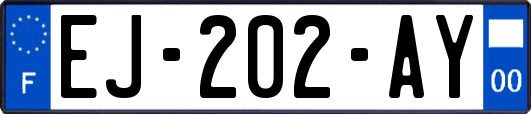 EJ-202-AY