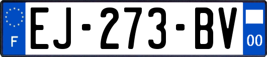 EJ-273-BV