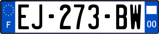 EJ-273-BW