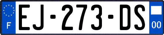 EJ-273-DS