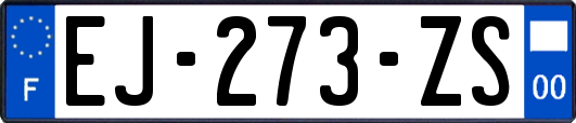 EJ-273-ZS