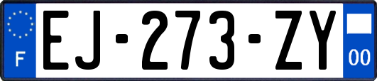 EJ-273-ZY