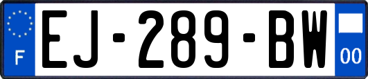 EJ-289-BW