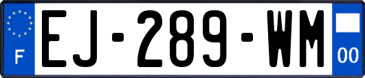 EJ-289-WM