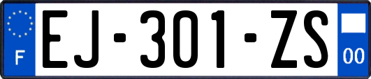 EJ-301-ZS