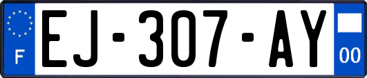 EJ-307-AY