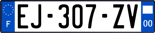 EJ-307-ZV