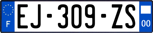 EJ-309-ZS