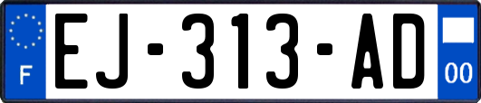 EJ-313-AD