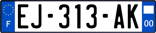 EJ-313-AK