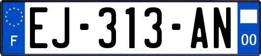 EJ-313-AN