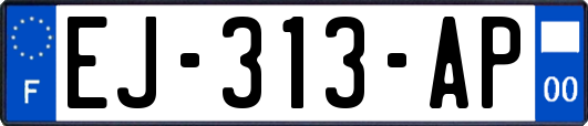 EJ-313-AP