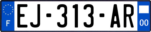 EJ-313-AR