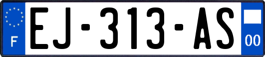 EJ-313-AS