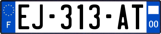 EJ-313-AT