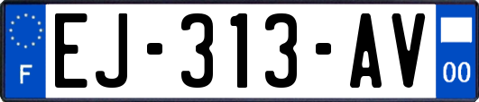 EJ-313-AV