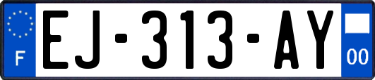 EJ-313-AY