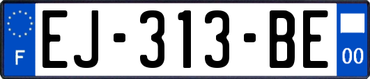 EJ-313-BE