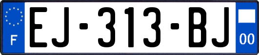 EJ-313-BJ