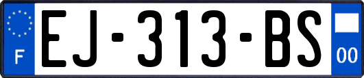 EJ-313-BS