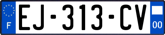 EJ-313-CV