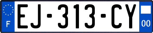 EJ-313-CY