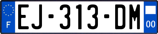 EJ-313-DM