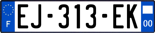 EJ-313-EK