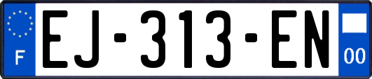 EJ-313-EN