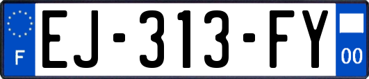 EJ-313-FY