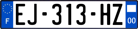 EJ-313-HZ