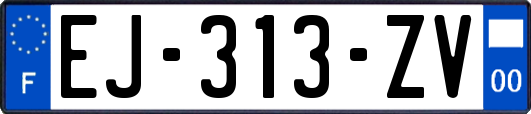 EJ-313-ZV