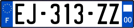 EJ-313-ZZ