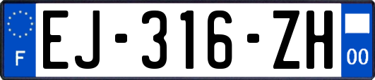 EJ-316-ZH