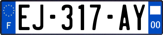 EJ-317-AY