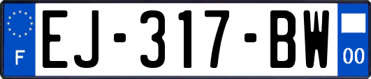 EJ-317-BW