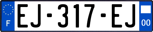 EJ-317-EJ