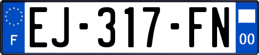 EJ-317-FN