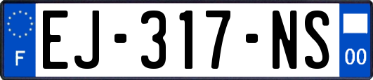 EJ-317-NS