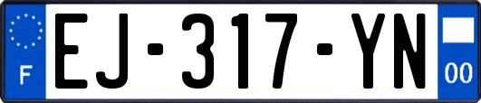 EJ-317-YN
