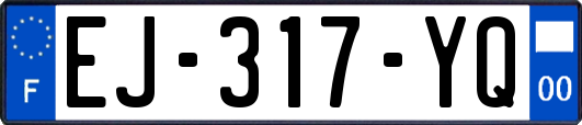 EJ-317-YQ