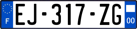 EJ-317-ZG